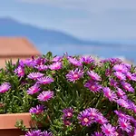 Sine Tempore Apartman *